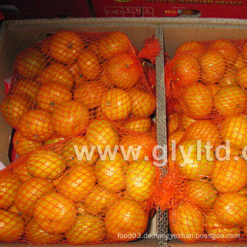 New Crop Chinesisch Frische und gute Qualität Mandarin Orange